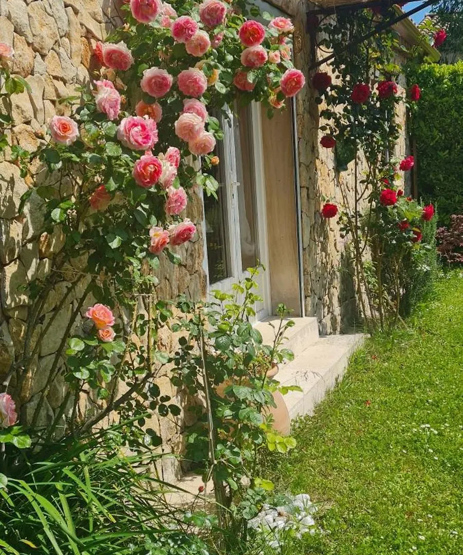 Petit Gite De Provence Mazan