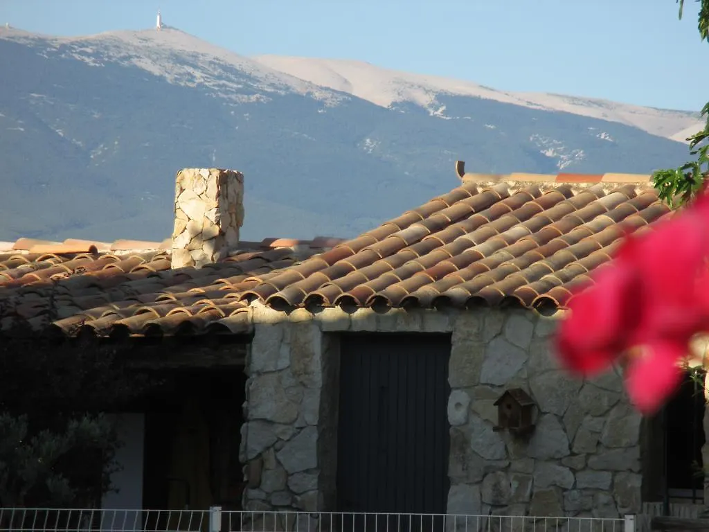 Petit Gite De Provence Mazan Casa vacanze