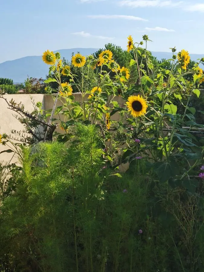 Petit Gite De Provence Mazan 0*,