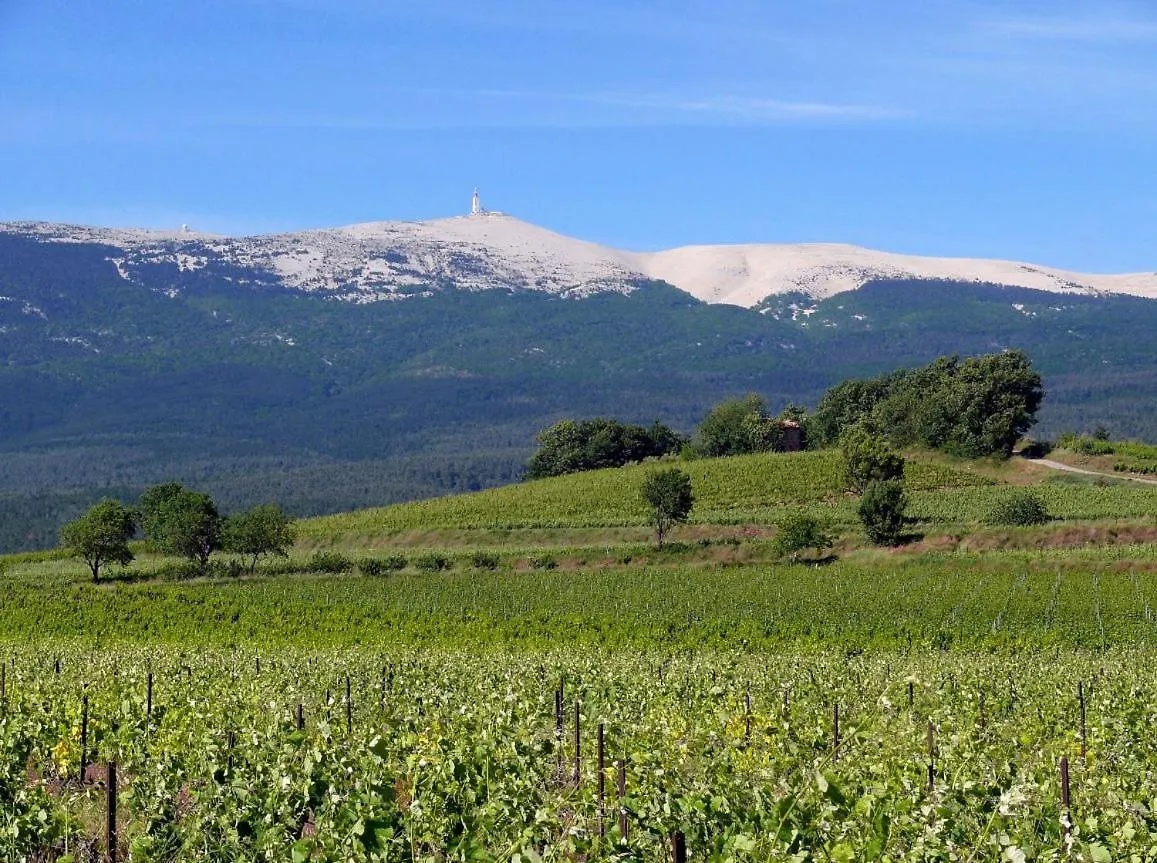 Petit Gite De Provence Mazan
